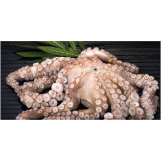 Pulpo Cantábrico