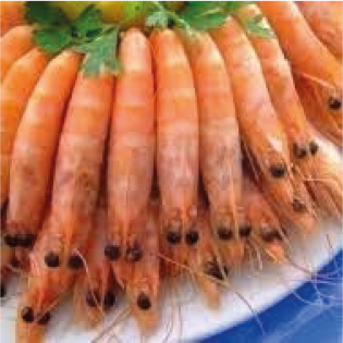 LANGOSTINO Cocido 40/60